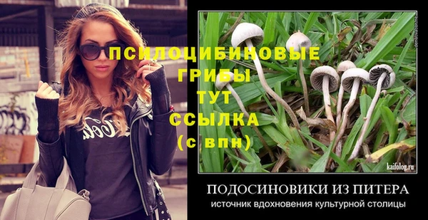 прущий лед Кукмор